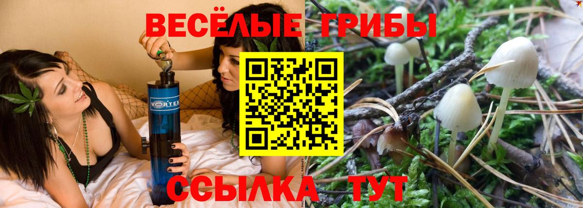 Кимры  Псилоцибиновые грибы GOLDEN TEACHER  Вход с VPN  Галлюциногенные грибы MAGIC MUSHROOMS 
