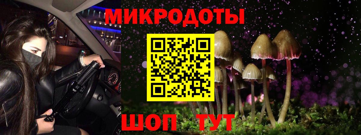 Псилоцибиновые грибы Cubensis Кимры